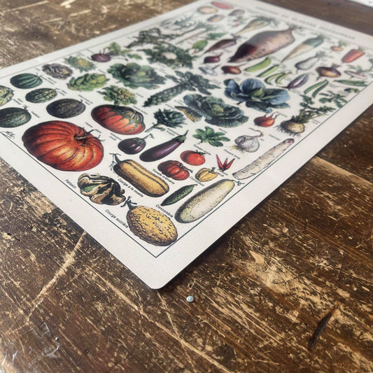 Vintage Botanical Kitchen Vegetables | Metal Art Wall Sign