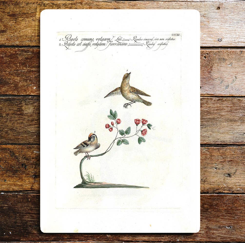 Two Birds Flower Branch Shy Singing | Metal Sign Plaque
