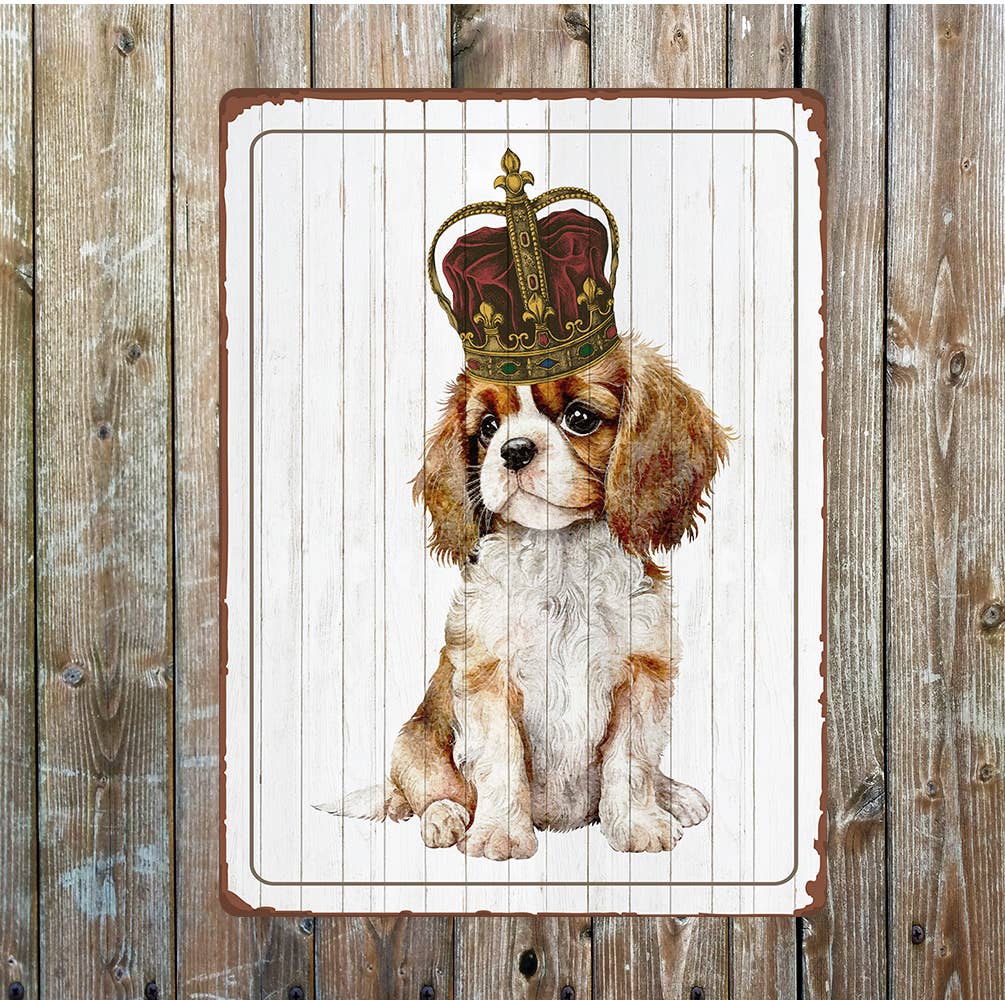 King Charles spaniel crown lifestyle | Metal Sign Plaque
