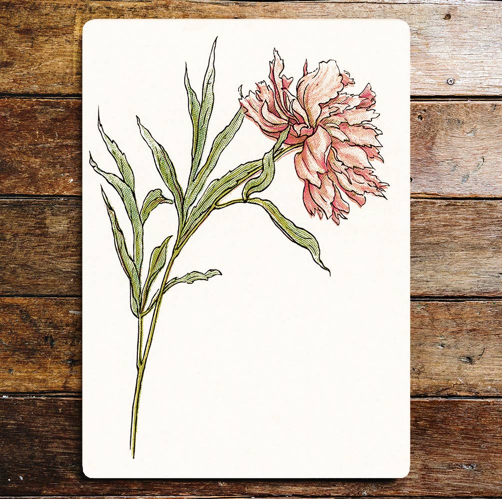 Pink Flower Stem Metal Wall Sign Plaque