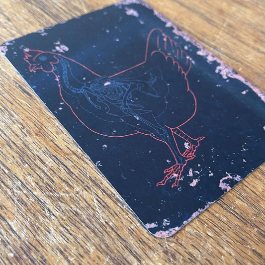 Chicken Skeleton | Metal Sign Plaque