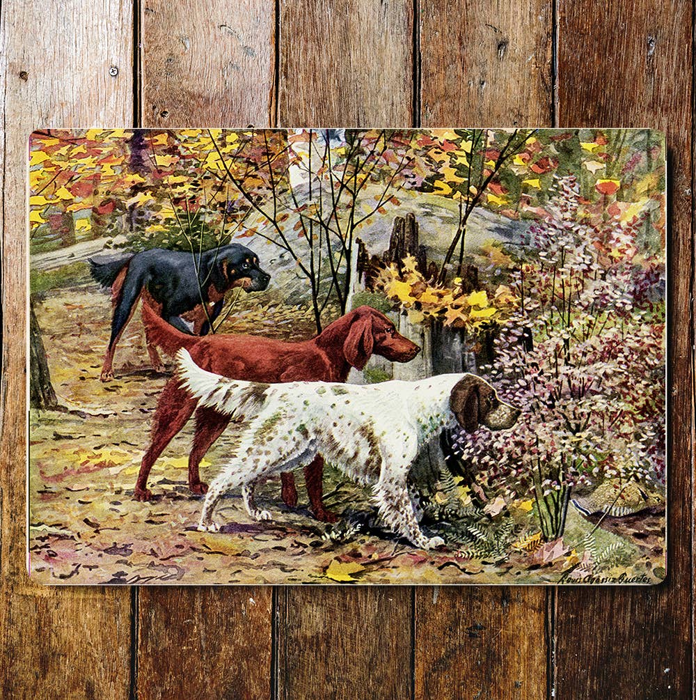 Red setter welsh setter gun dogs hunt Metal Sign Plaque