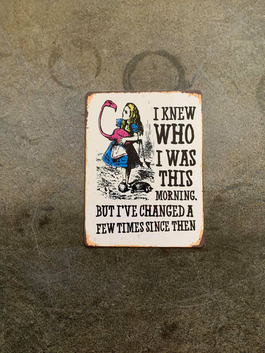 Alice in wonderland i've changed | Metal Sign
