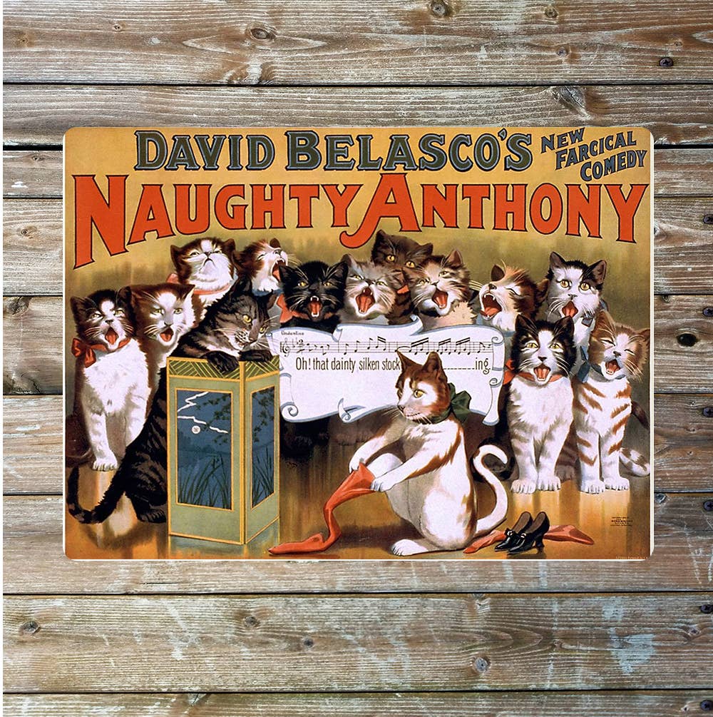 Naughty cat's funny | Metal Sign Plaque