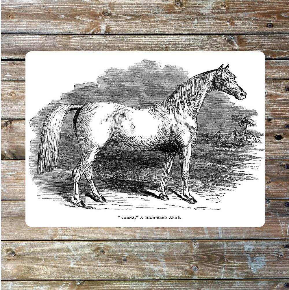 Horse vintage art | Metal Sign Plaque