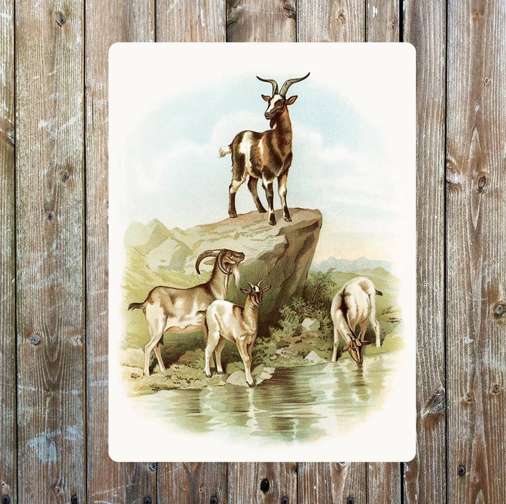 Wild Goat Pack | Metal Sign Plaque