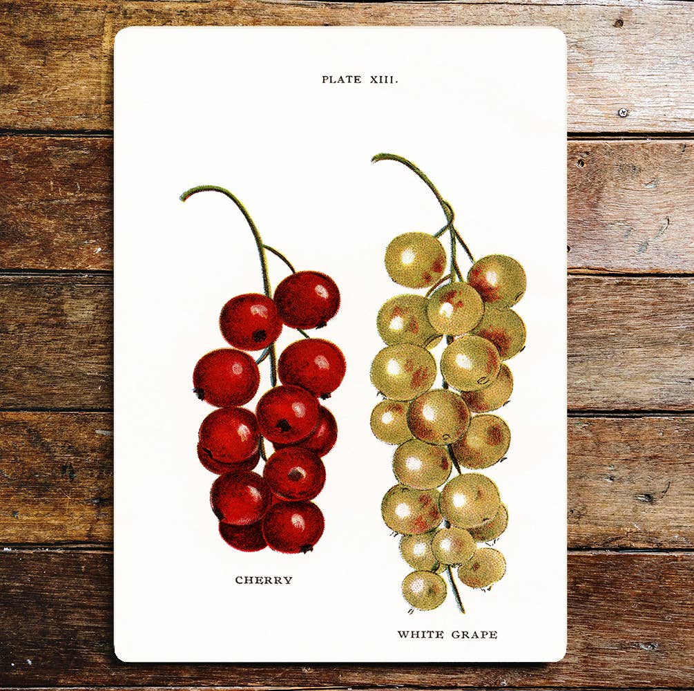 Cherry and grape plate wall art | Metal Sign Plaque