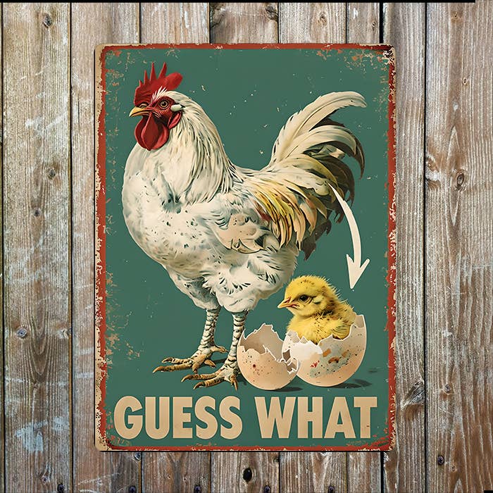 Guess What | Hen Chicken and Egg | Metal Sign Plaque