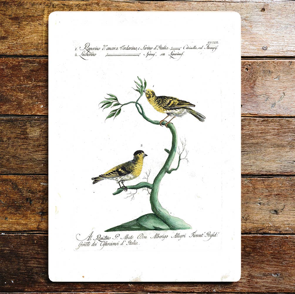 Two Yellow Black Birds Branch Feeding | Metal Sign Plaque