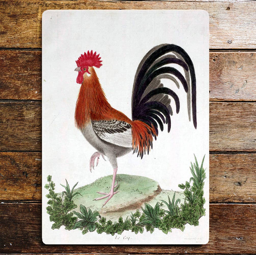 Posing Cockerel On Grass With Leaves Metal Sign Plaque