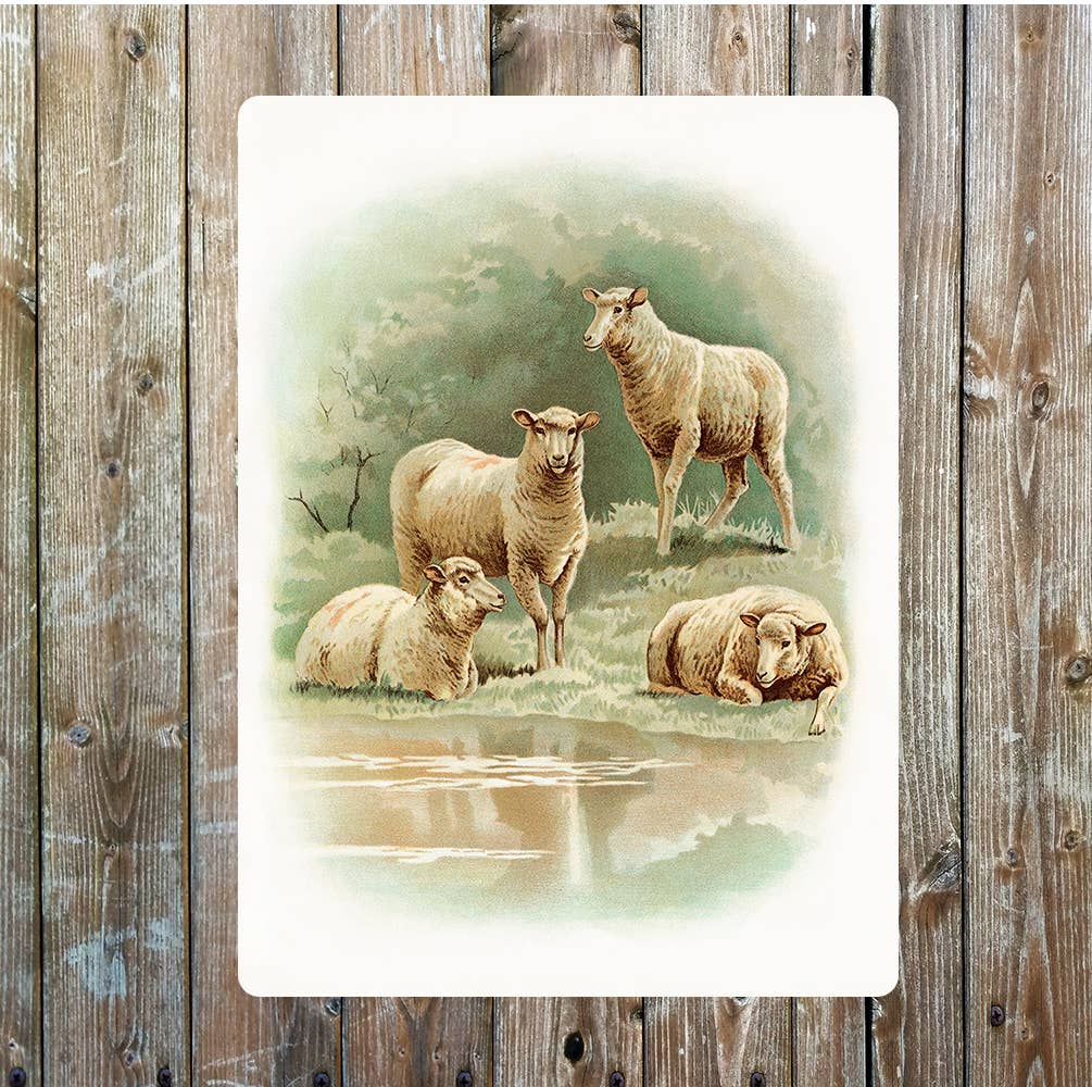 Vintage sheep farm art | Metal Wall Si