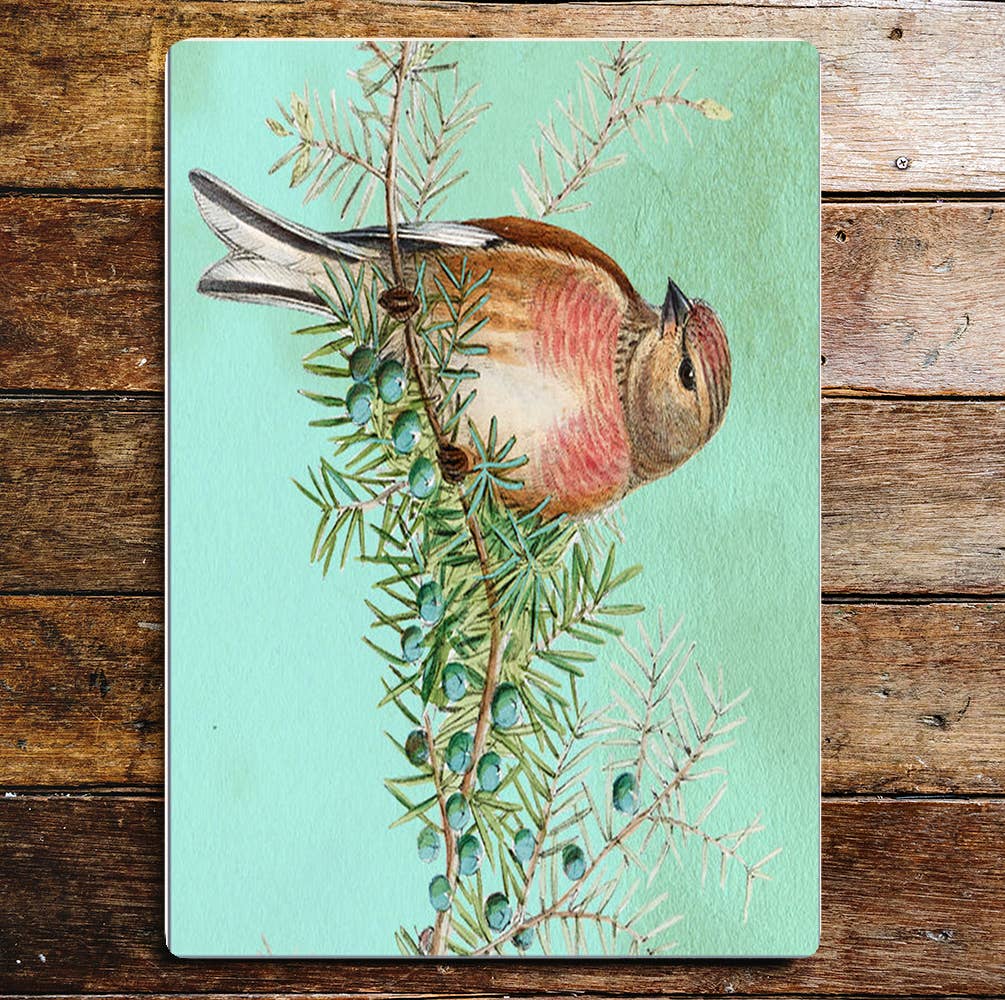 bird spring tweet blue | Metal Sign Plaque