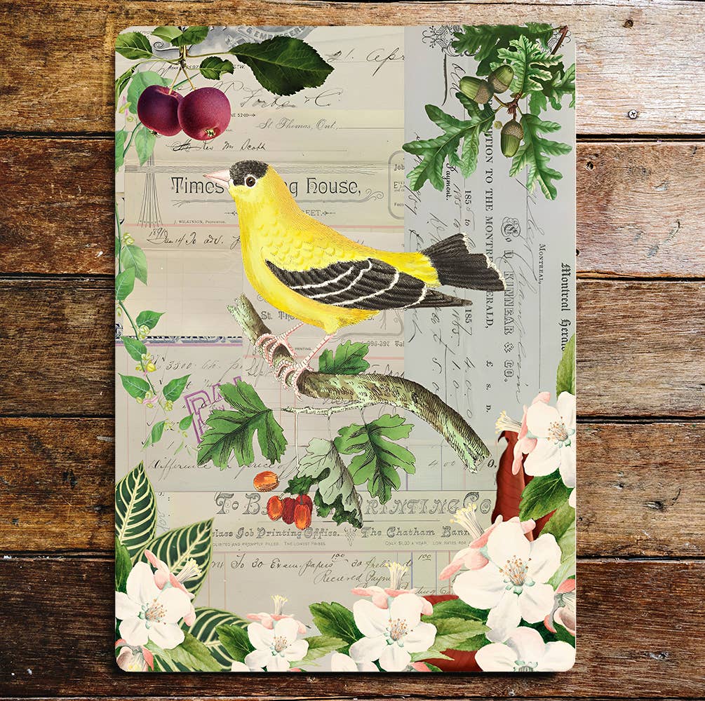 Finch Bird Ephemera Collage | Metal Wall Sign Plaque