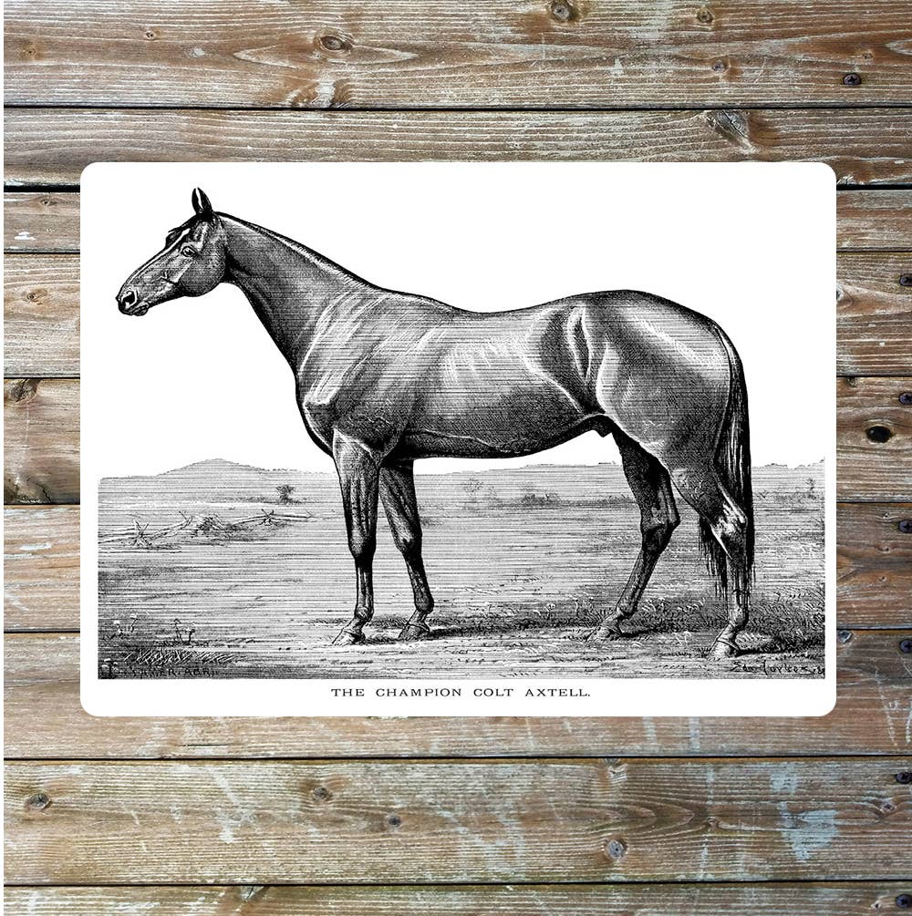 Race horse hunter vintage art Metal Sign Plaque