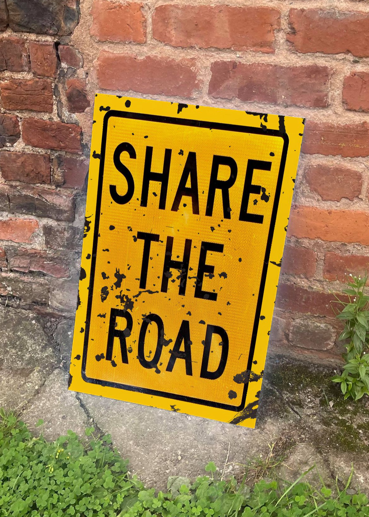 Share The Road. street sign Metal Advertising Wall Sign