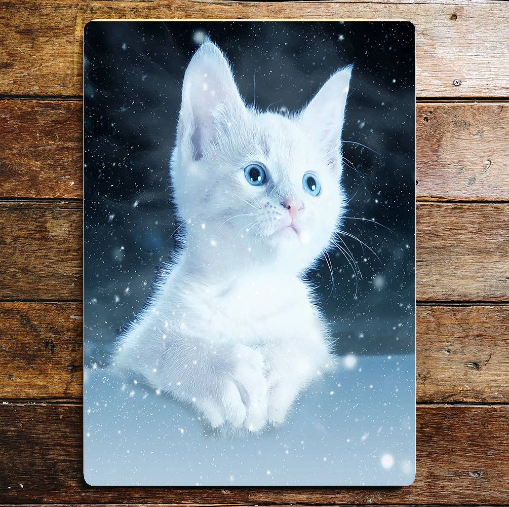 Cute White Kitten Snowy Sky | Metal Sign Plaque