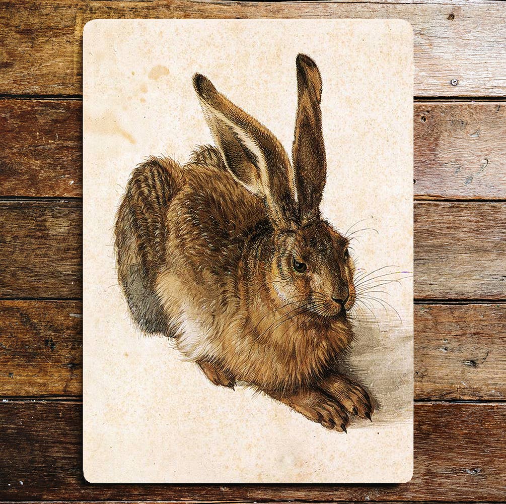 Hare Rabbit Animal | Metal Wall Sign