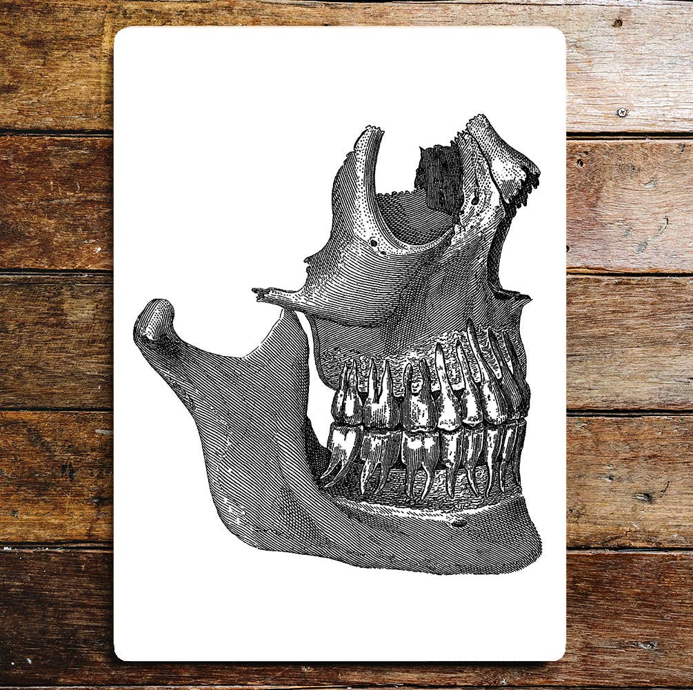 Skull Teeth Metal Wall Sign