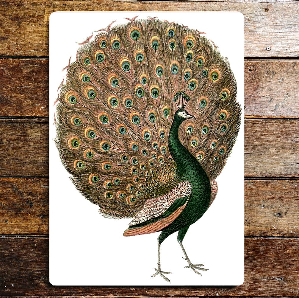 Peacock display pattern wall art Metal Sign Plaque