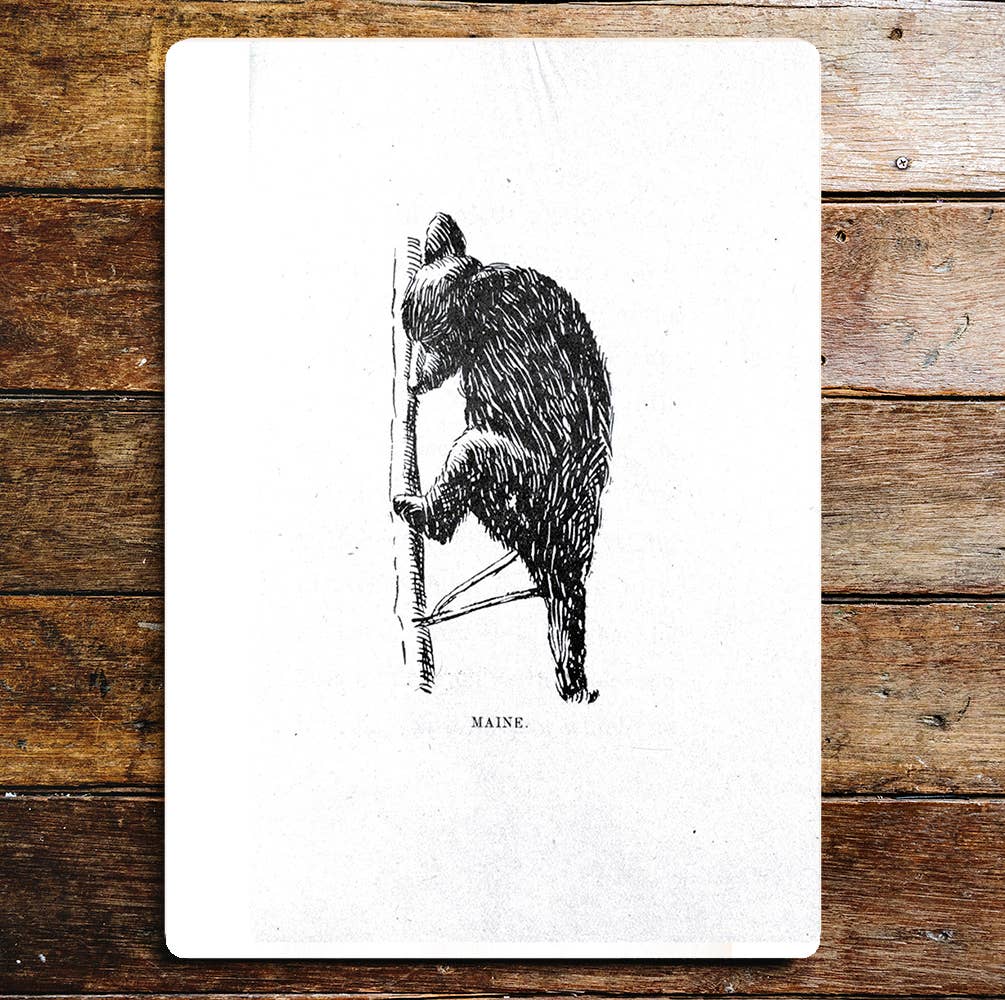 Cute Bear Cub Playing With Sticks | Metal Sign Plaque