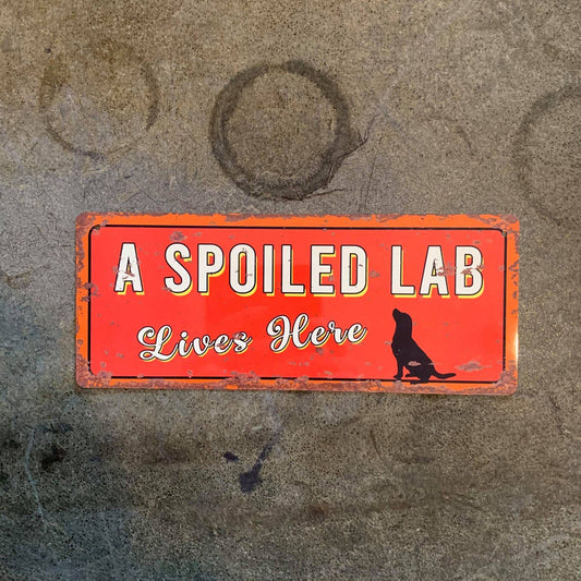 A spoiled Lab Lives Here - | Metal Wall Sign