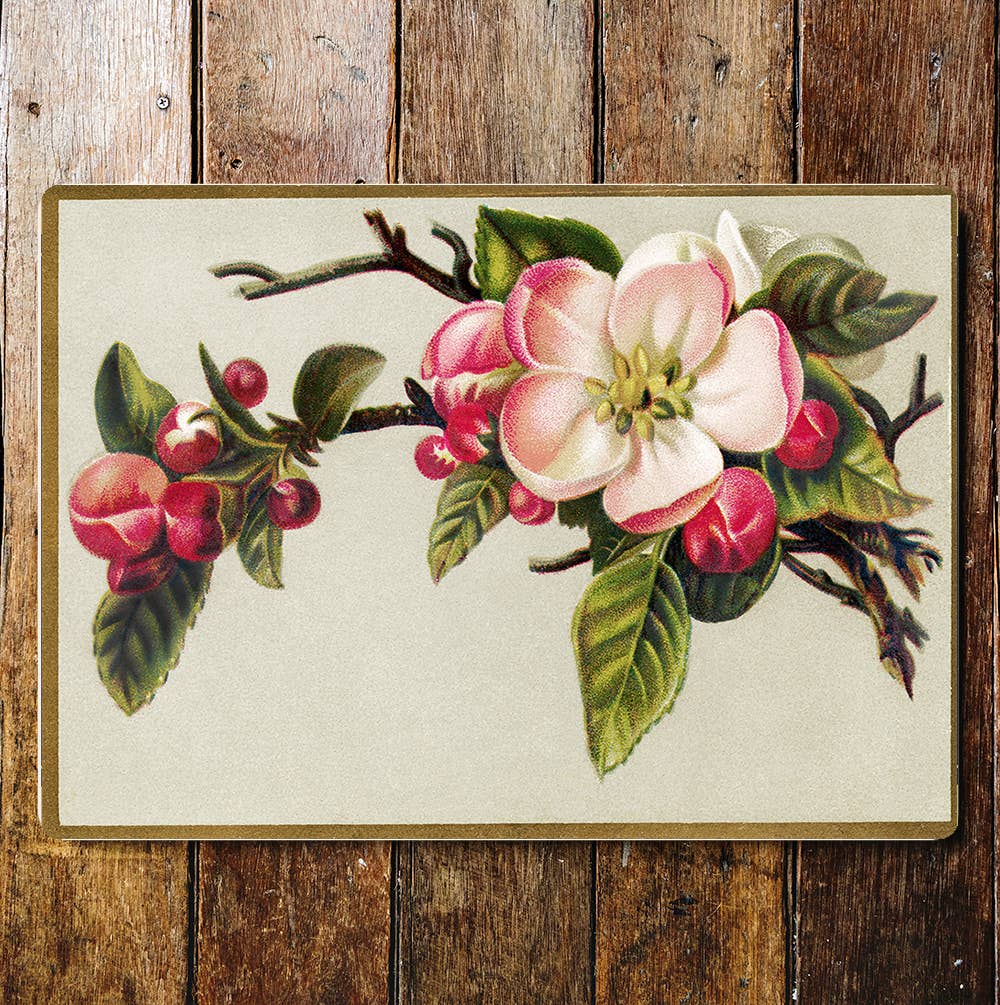 Flower Stem Buds Pink And White | Metal Wall Sign Plaque