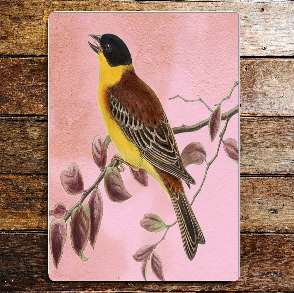 bird spring tweet pinky | Metal Sign Plaque