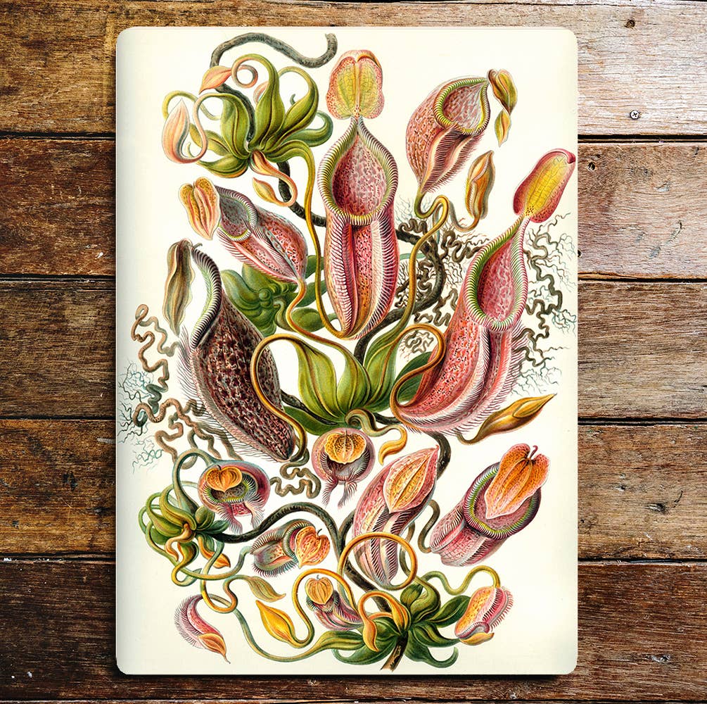 Fly Eating Plants Flowers | Metal Wall Sign Plaque