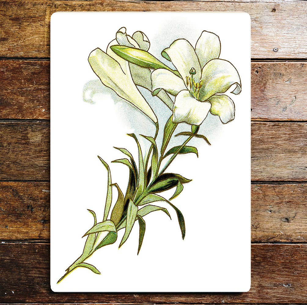 Lily Flower Stem | Metal Wall Sign Plaque