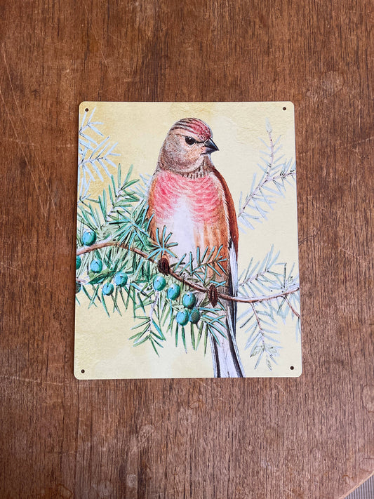 bird spring tweet | Metal Sign Plaque