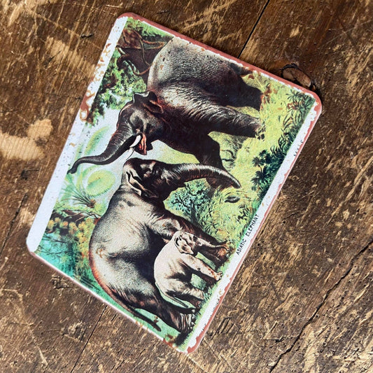Elephants | Metal Sign Plaque