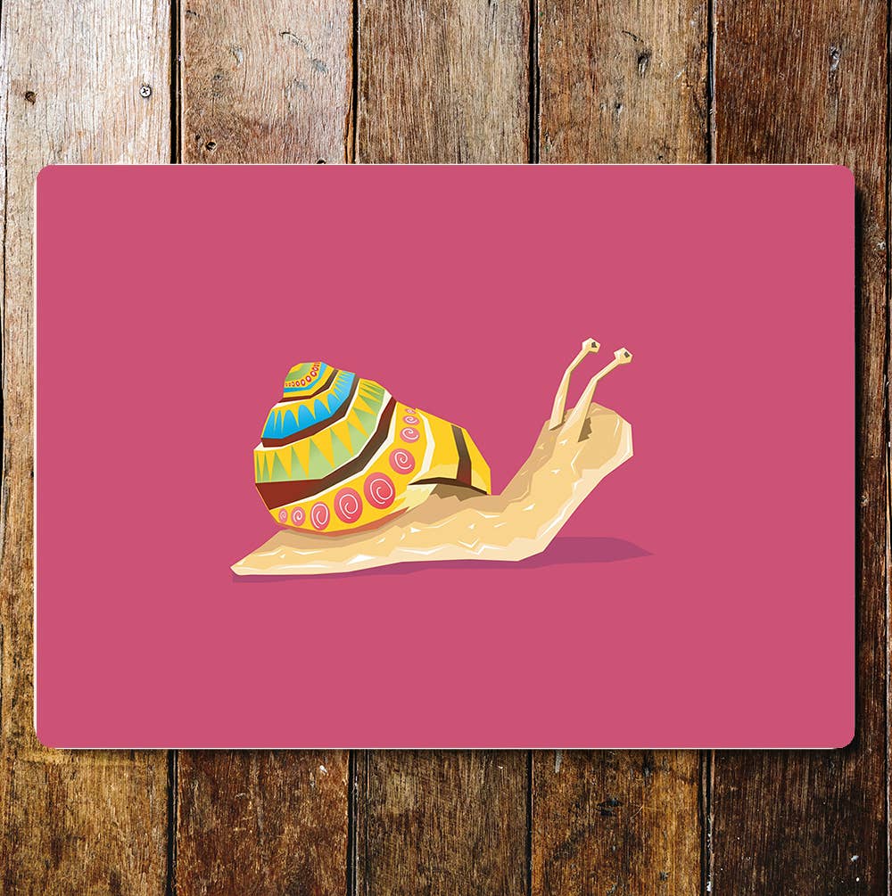 Snail Portrait Mexican Colourful Shell Metal Sign Plaque