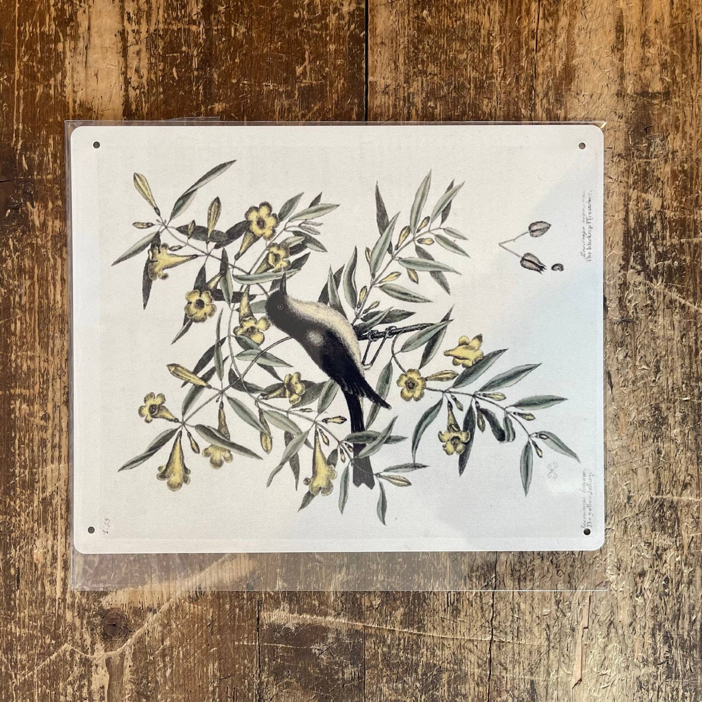 Bird Branch Botanical | Metal Botanical Wall Sign