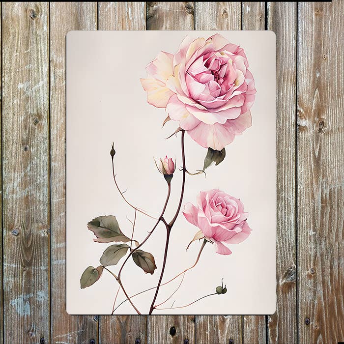 Watercolour Elegant Pink Roses Flower | Metal Sign Plaque
