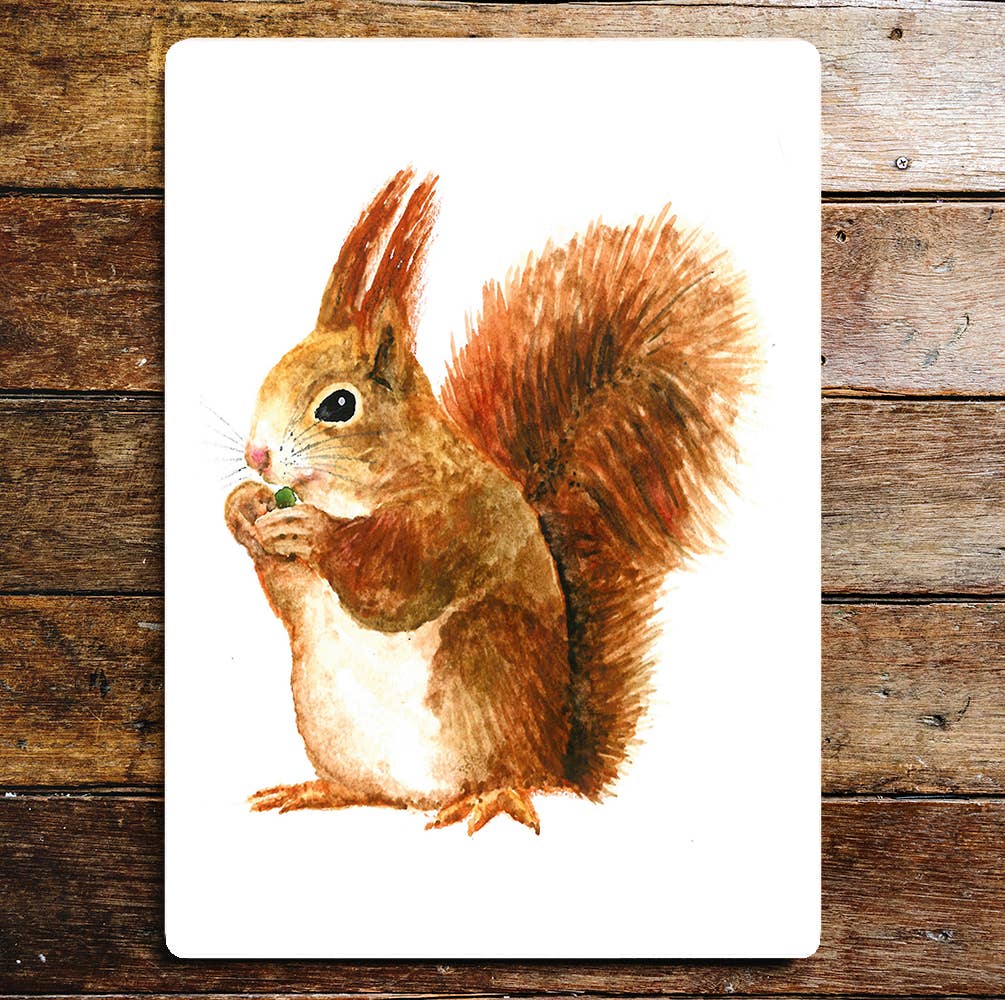Red Squirrel nature art Metal Sign Plaque