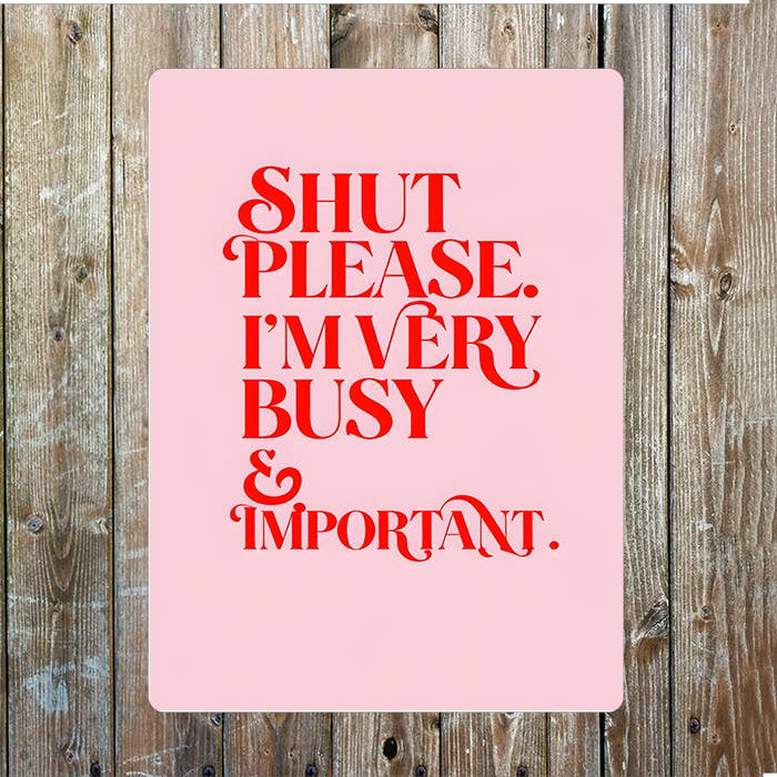 Shut Please i'm very Busy & important Metal Sign Plaque