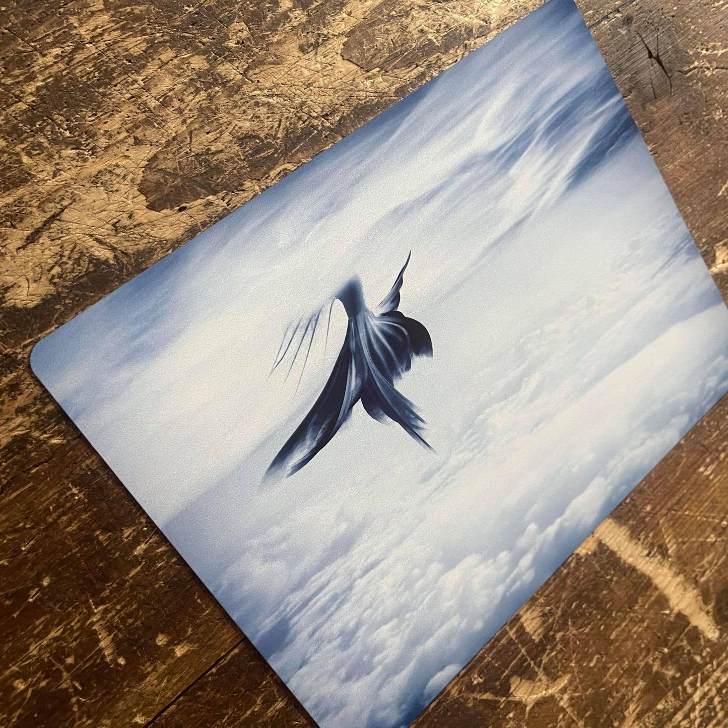 Mermaid tail | Metal Sign Plaque Bathroom