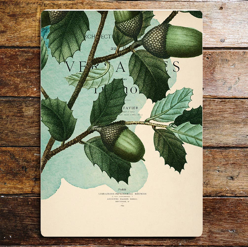 Acorns Twig Tree Greens Kitchen | Metal Sign Plaque