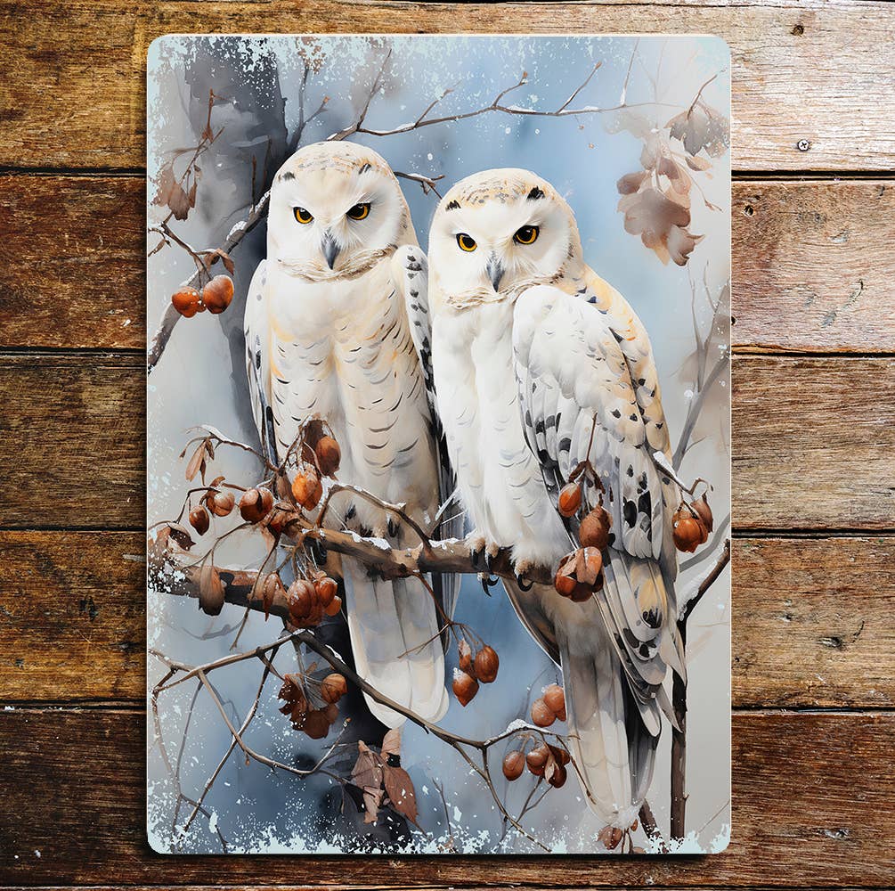 Winter Owls Wildlife Woodland Bird Art | Metal Sign Plaque