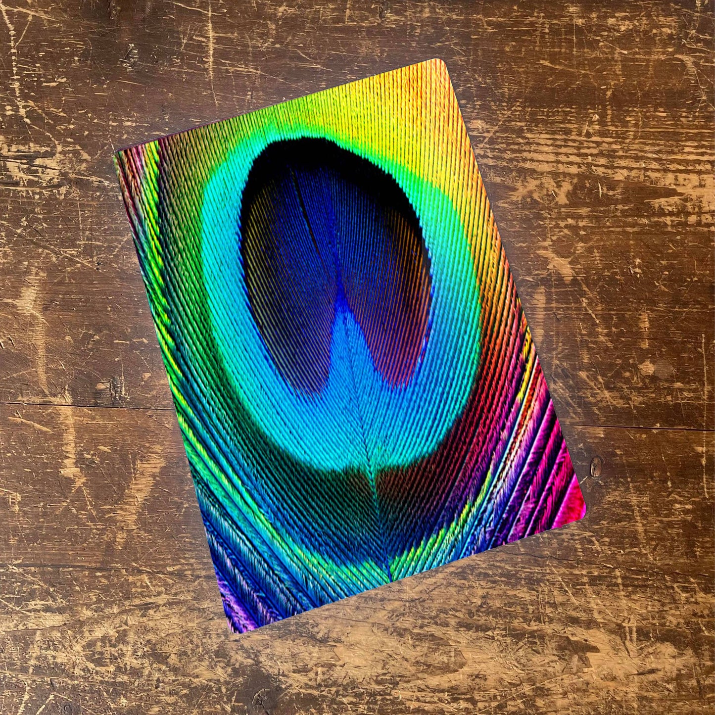 Peacock Feather Bright Bird Metal Animal Wall Sign