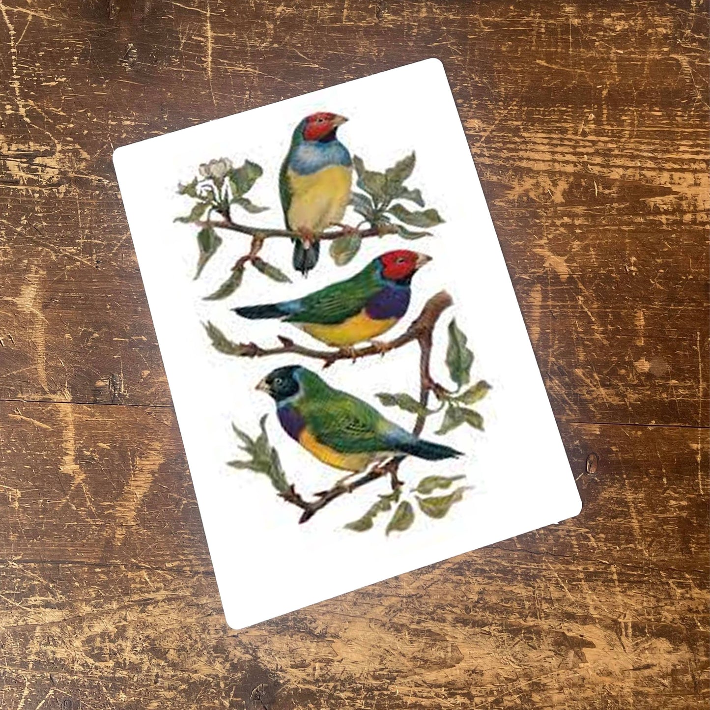 Birds on Branch Botanical | Metal Botanical Wall Sign