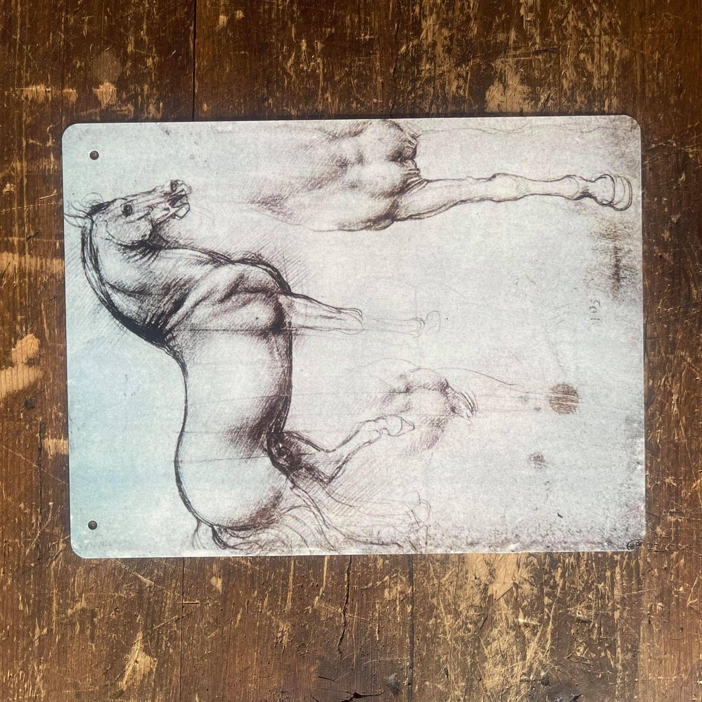 Leonardo da Vinci study of a Horse | Metal Sign