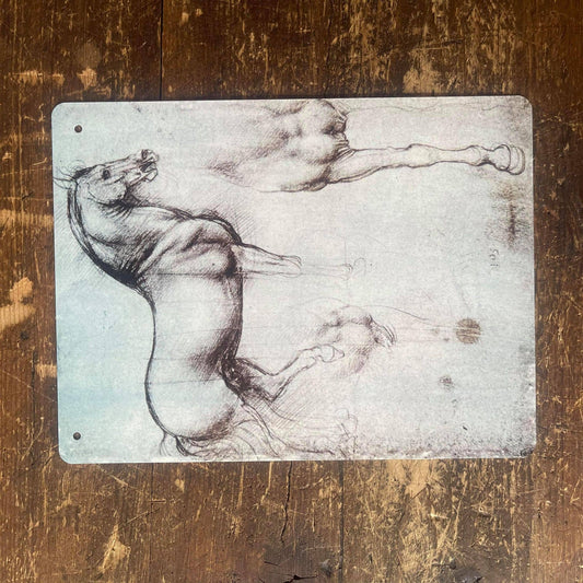 Leonardo da Vinci study of a Horse | Metal Sign