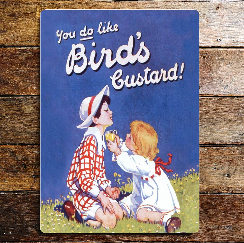 You Do Like Birds Custard | Retro | Metal Sign