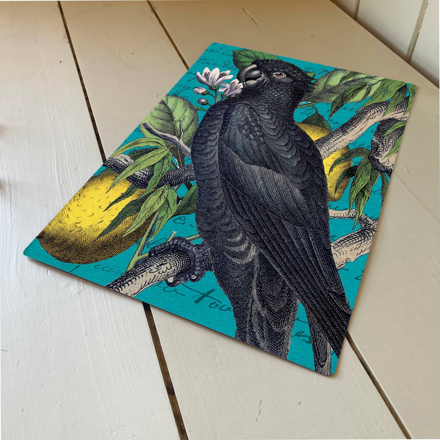 Parrot Bird Tropical Rain Forest Metal Humour Wall Sign