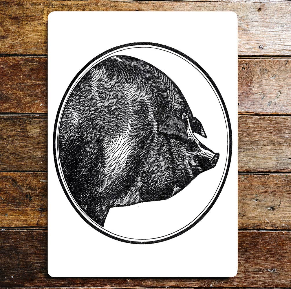 Black And White Pig Head Portrait | Metal Sign plaque