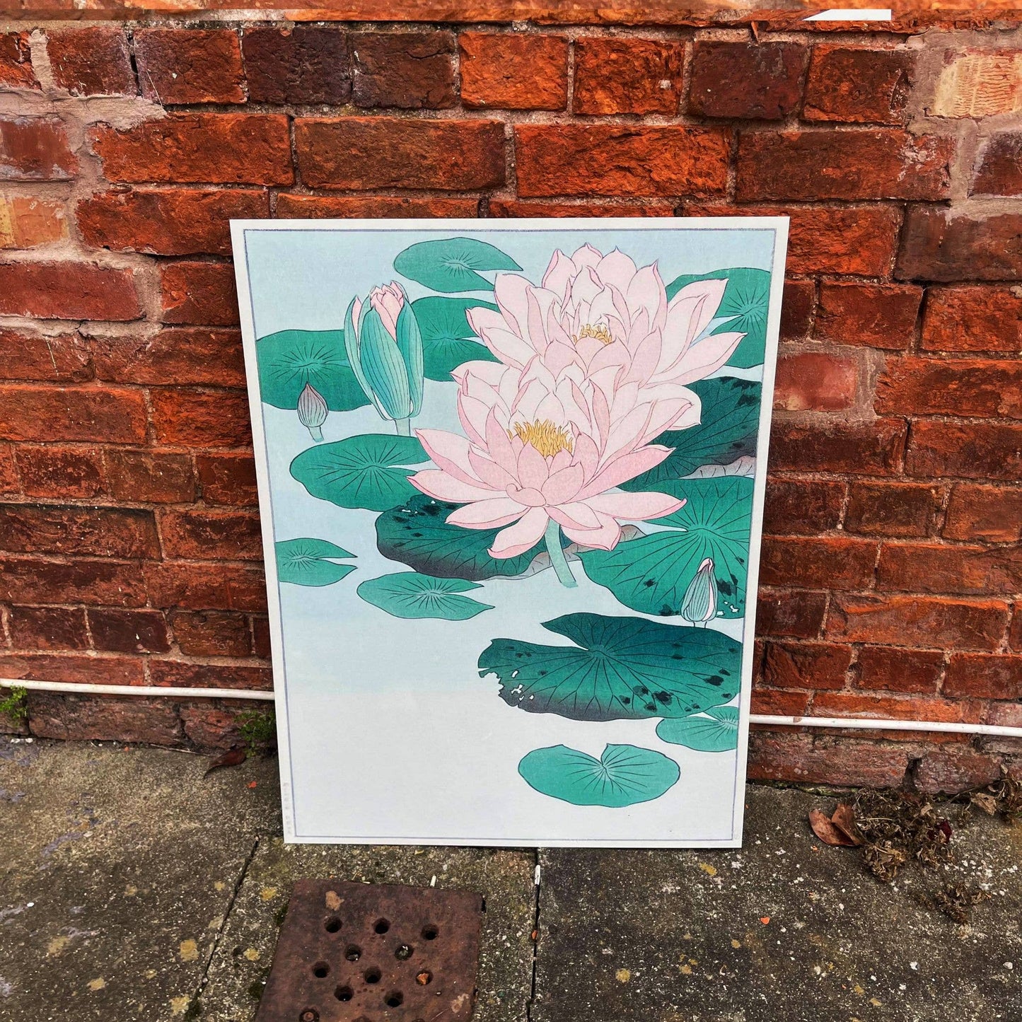 Japanese Water Lily Vintage Botanical Plant | Metal Sign