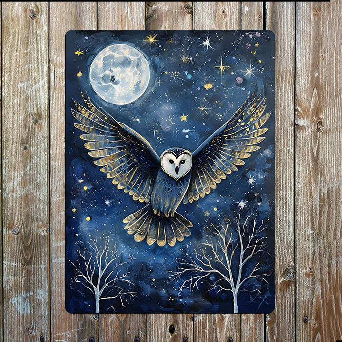 Owl Flying Through A Starry Night Sky | Metal Sign Plaque