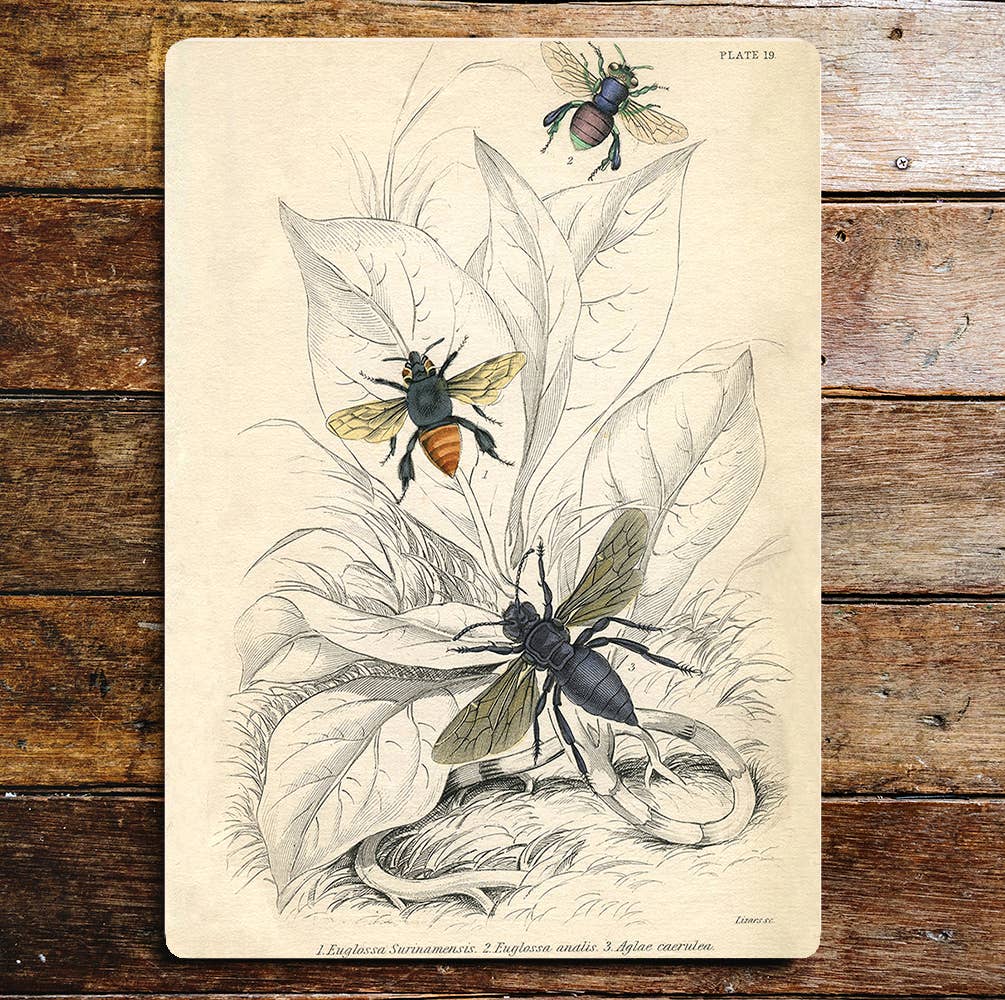 Flies Leaves Garden | Metal Wall Sign