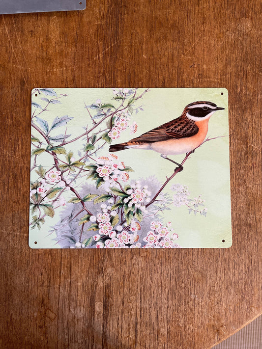Bird on branch blossom | Metal Sign Plaque